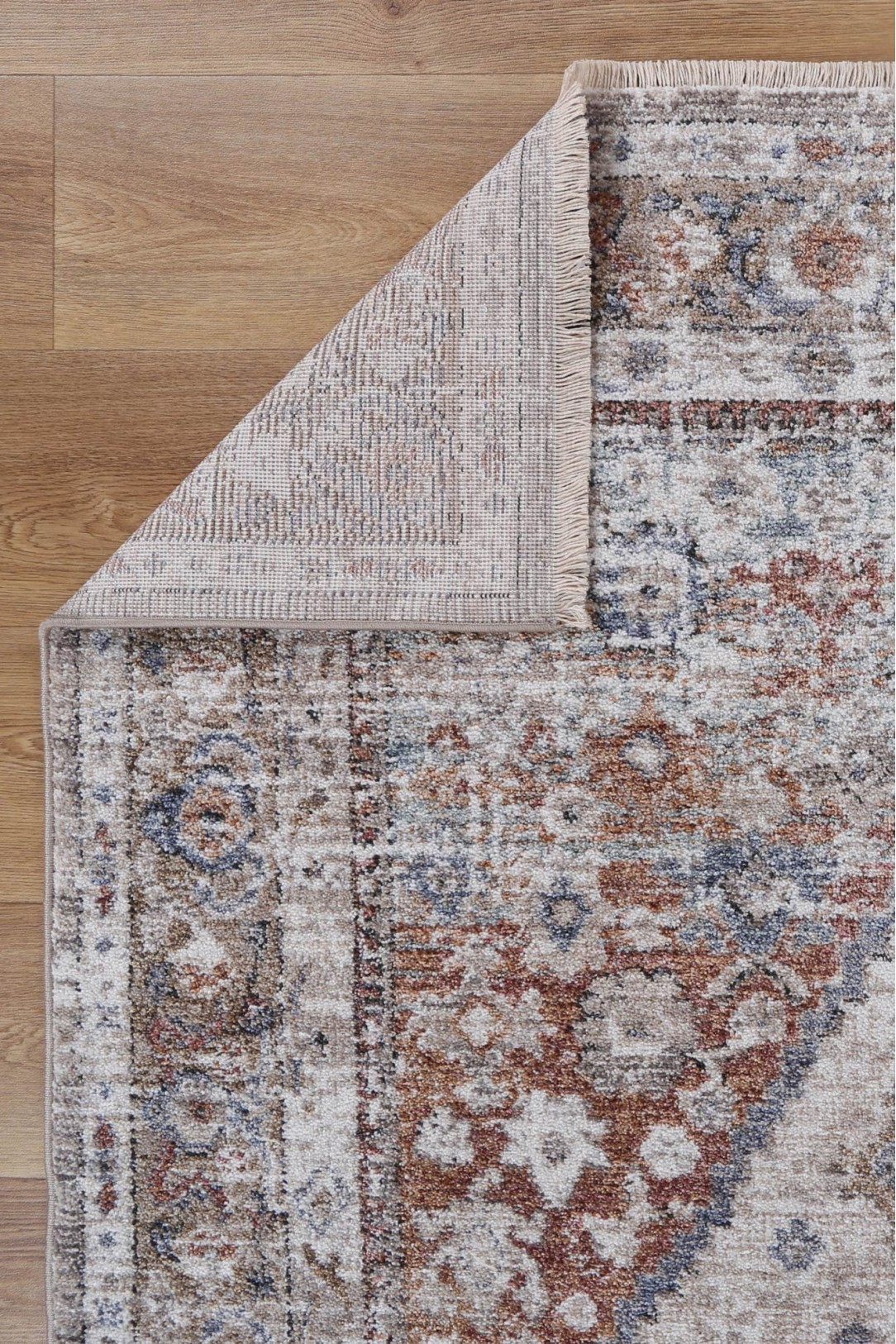 Sydney Shriaz Multi Traditional Rug